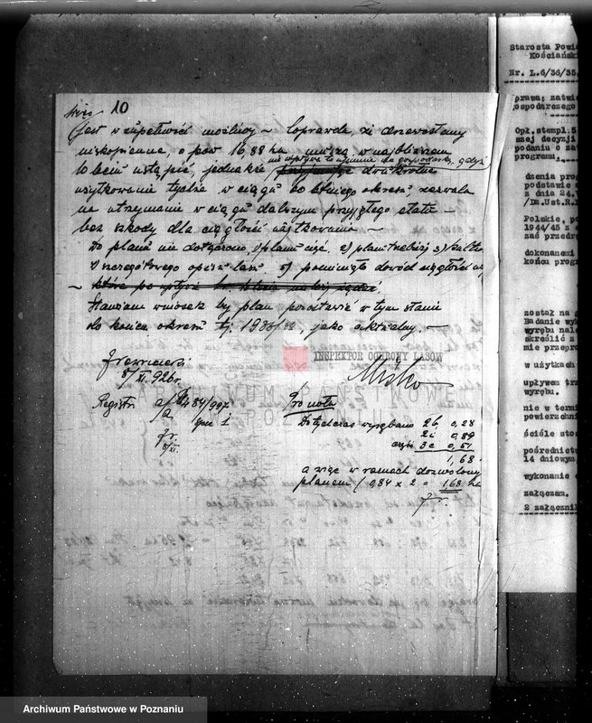 Obraz 15 z jednostki "Majętność /leśna/ Wilkowo Polskie powiat kościański"