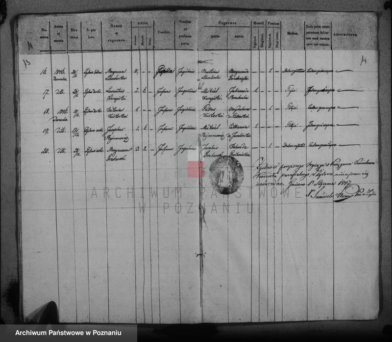 Obraz 11 z jednostki "Duplikat baptisatorum, copulatorum, mortuorum"