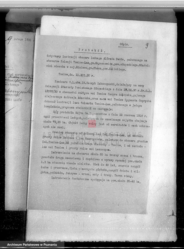 Obraz 13 z jednostki "Gmina Szyminowice powiat koniński /nadzór nad gospodarką leśną/"