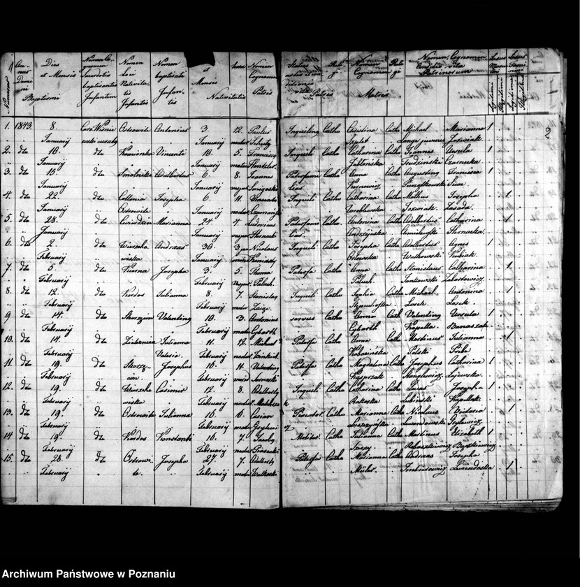 image.from.unit.number "Duplicatus baptisatorum, copulatorum, mortuorum"