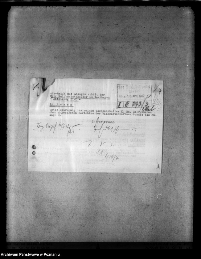 Obraz 11 z jednostki "Notschlachtungen"