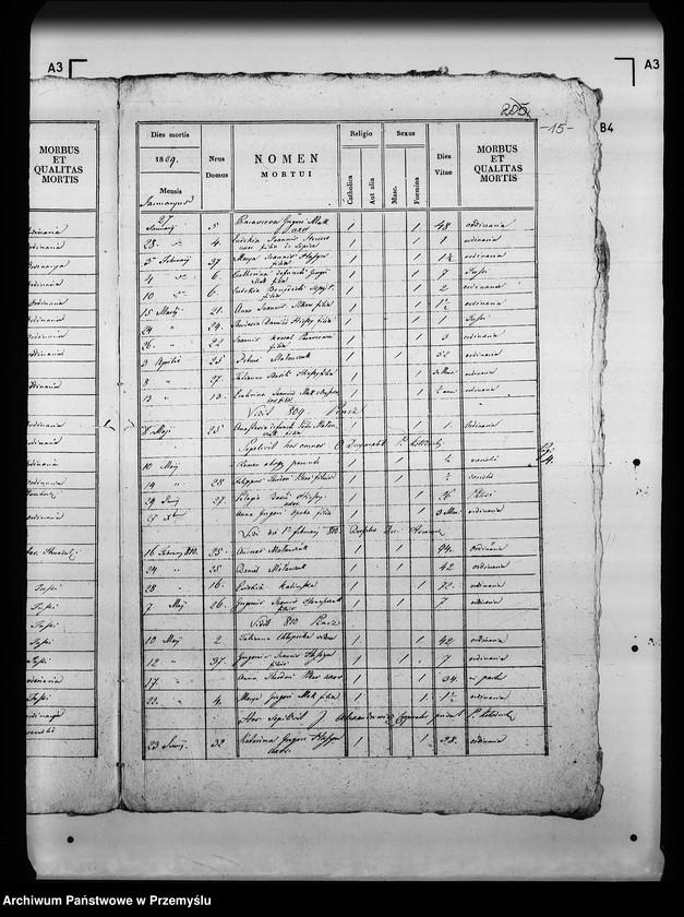 Obraz 19 z jednostki "[Kopie ksiąg metrykalnych parafii Kołodruby z filiami Lipice, Powerchów (dekanat Komarno)]"