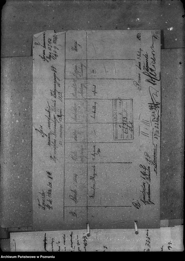 Obraz 12 z jednostki "Poznański Urząd Wojewódzki personalne ogólne"