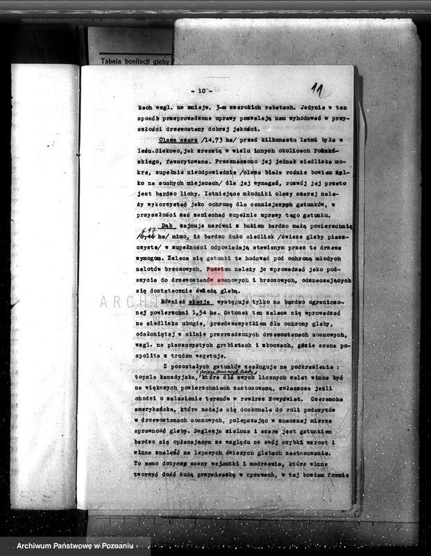 Obraz 15 z jednostki "Las majętność /Siekówko/ powiat kościański plan urządzenia 1933-1943"