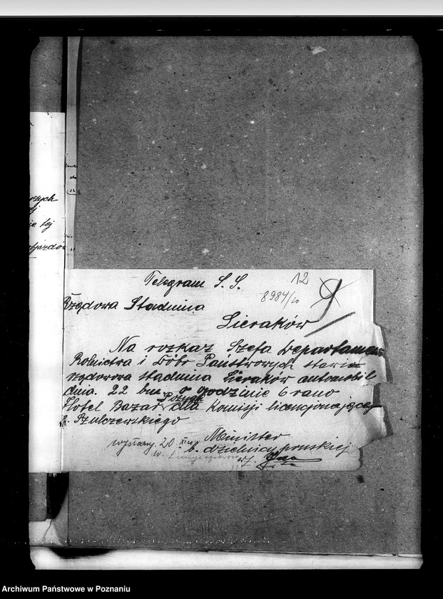 image.from.unit.number "Sprawy stadnin licencjonowanie ogierów prywatnych"