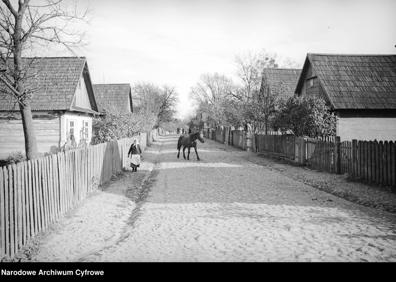 image.from.unit.number "Białowieża"