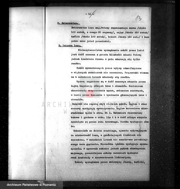 Obraz 17 z jednostki "Plan urządzenia gospodarstwa leśnego dla lasu majętności Pniewy powiat szamotulski 1937-1947"
