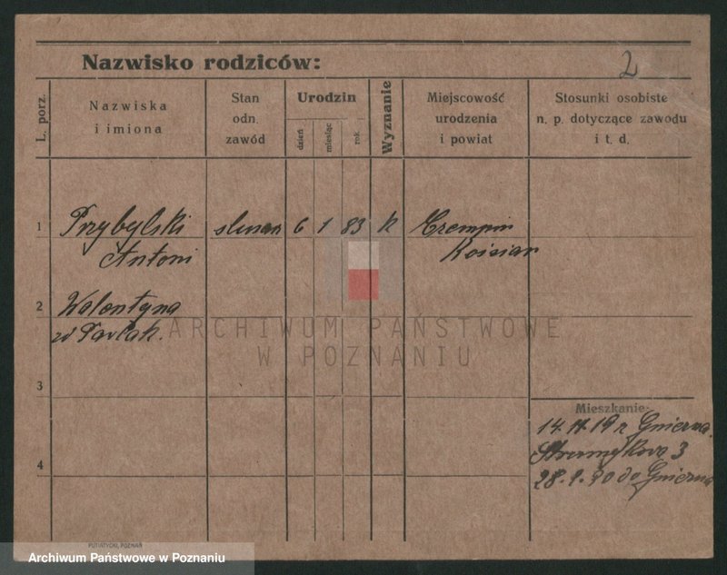 Obraz 4 z jednostki "Przybylski (żonaci - samotni mężczyźni do Gustaw)"