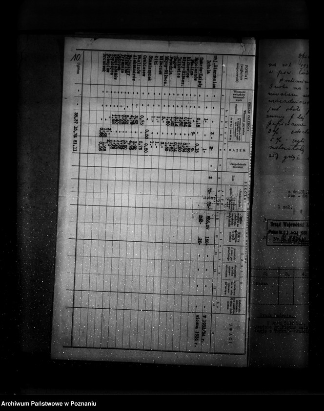 Obraz 14 z jednostki "Zalesienie nieużytków w powiecie tureckim"