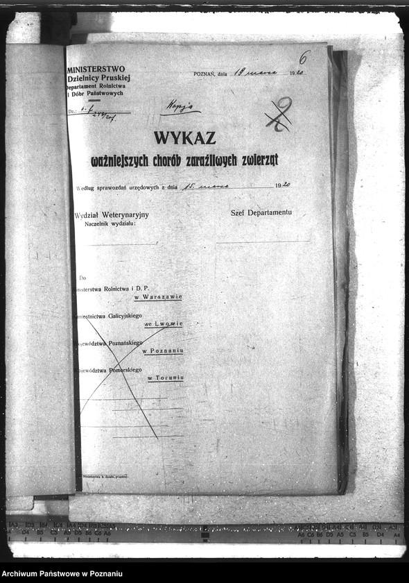 Obraz 10 z jednostki "Wykaz chorób zaraźliwych zwierząt"