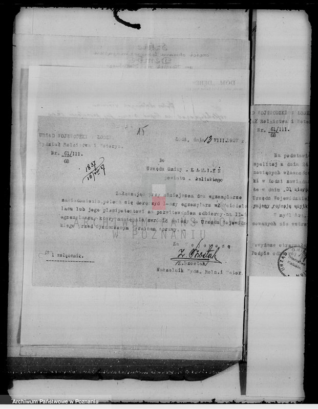 Obraz 19 z jednostki "Sprawy zmiany rodzaju użytkowania gruntów leśnych majątku Dębe w powiecie kaliskim"