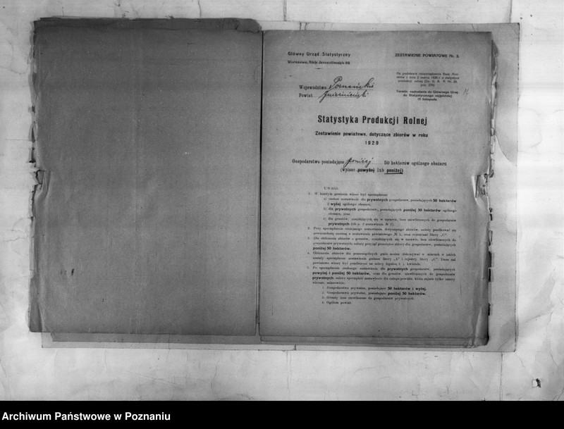 Obraz 9 z jednostki "/Statystyka produkcji rolnej - zestawienie powiatowe z terenu Gniezna/"