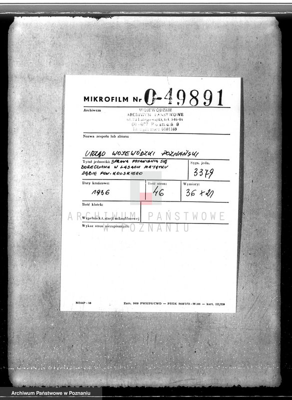 Obraz 2 z jednostki "Sprawa pojawienia się borecznika w lasach majątku Dąbia powiatu kolskiego"