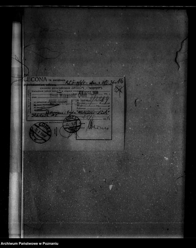 Obraz 20 z jednostki "Parcele leśne pod nazwą,,Zakrzew" powiat turecki"