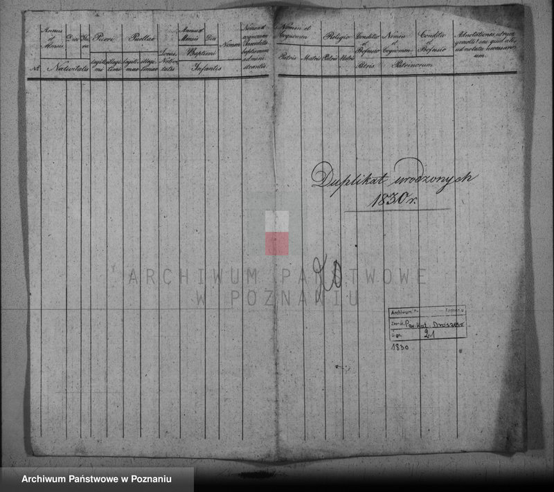 image.from.team "Akta stanu cywilnego Parafii Rzymskokatolickiej Droszew (pow. ostrowski)"