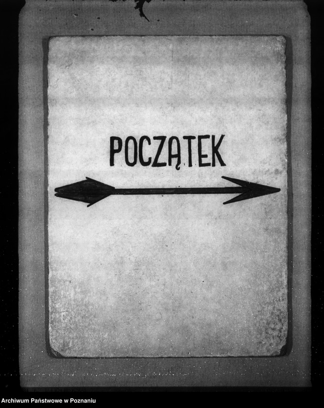 Obraz 3 z jednostki "Korespondencja, formularze i zestawienia wyników w zwiazku ze spisem bydła"