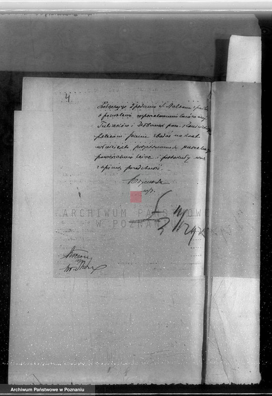 Obraz 8 z jednostki "Gmina Rzgów powiat koniński /nadzór nad gospodarką leśną/"