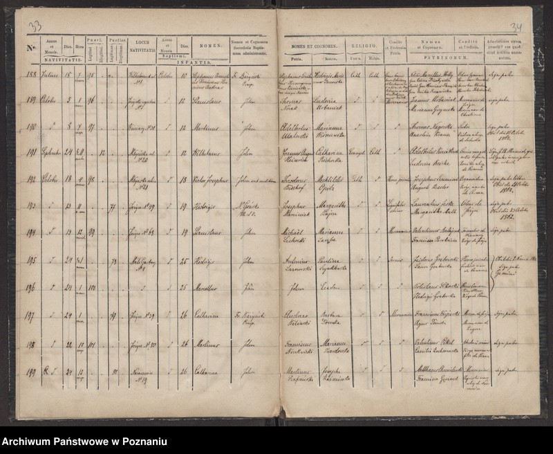 Obraz 19 z jednostki "Księga urodzin"