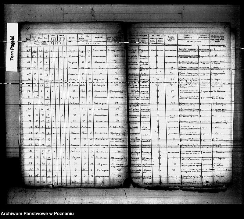 Obraz 5 z jednostki "Księga urodzeń"