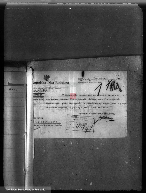 Obraz 5 z jednostki "Majętność leśna Niemierzewo w powiecie międzychodzkim"