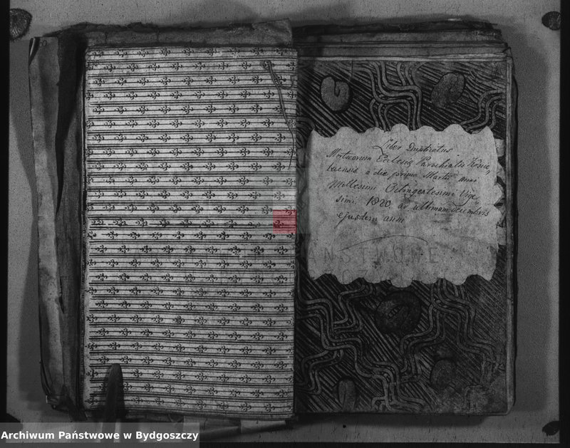 image.from.unit.number "Duplicate der Kirchen Bücher von Kościelec"