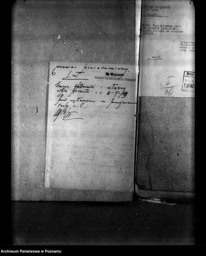 Obraz 10 z jednostki "Las majątku Napoleonów nr 1 własność Eweliny Wisłockiej powiat turecki"