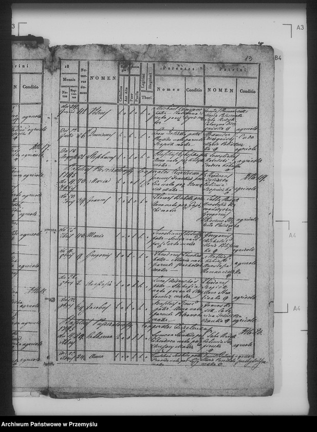 Obraz 18 z jednostki "[Kopie ksiąg metrykalnych parafii Żabcze Murowane z filią Bezejów (dekanat Bełz)]"