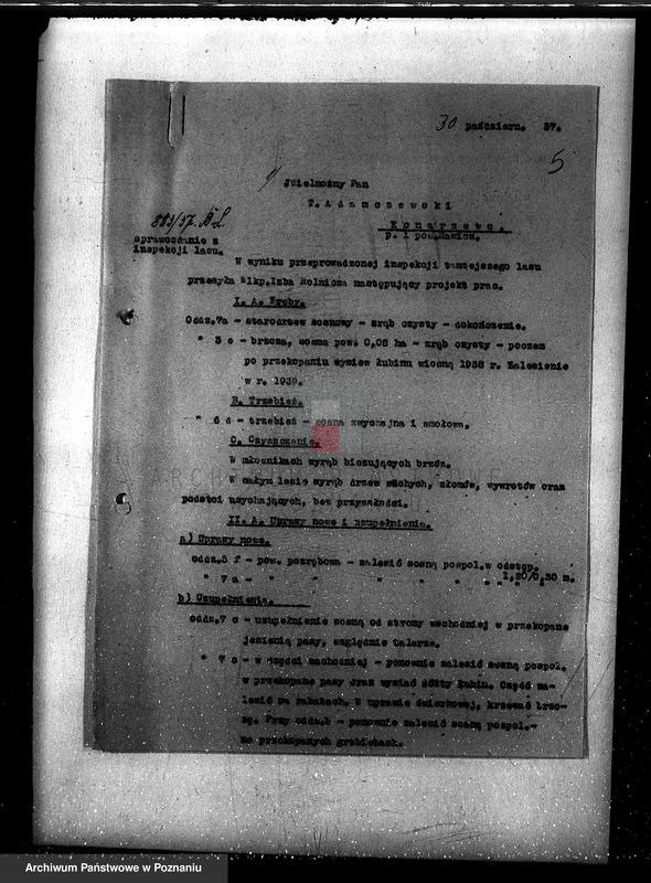 Obraz 9 z jednostki "Nadzór nad gospodarką w lasach Konarzewa powiatu rawickiego"