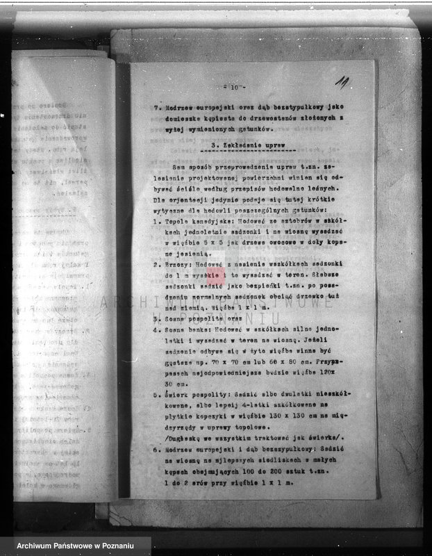 Obraz 13 z jednostki "Dodatkowy plan urządzania lasu dla lasu majątku Lubosz powiatu międzychodzkiego"