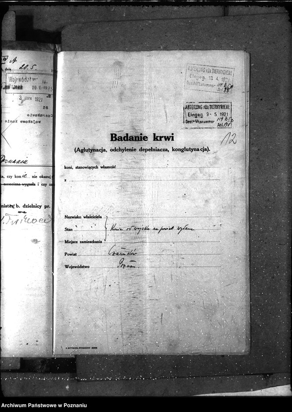 Obraz 16 z jednostki "Nosacizna - Czarnków"