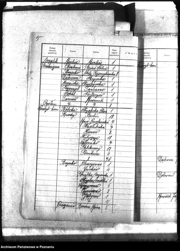 Obraz 11 z jednostki "Wykaz zaraźliwych chorób zwierzęcych Galicja"