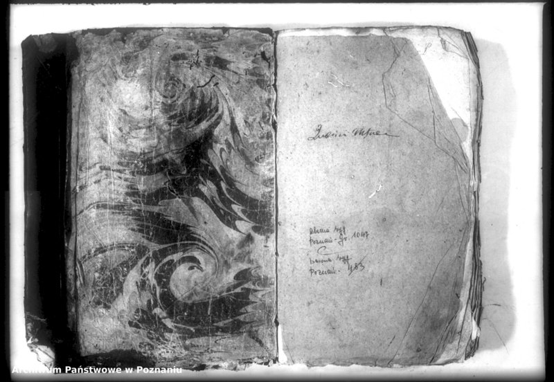 Obraz 3 z jednostki "Relationes [protocollon]"