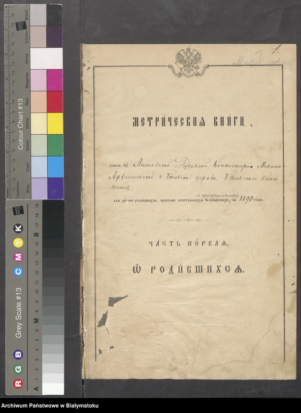 image.from.unit "Metričeskaja kniga ... dlja zapisi rodivšichsja, brakom sočetavšichsja i umieršich na 1890 god"