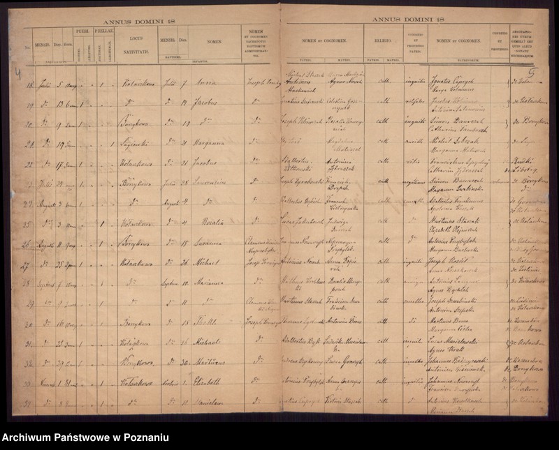 Obraz 5 z jednostki "Duplikat librorum Baptisatorum, Copulatorum et Mortuorum."