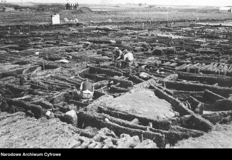 Obraz 1 z jednostki "Wykopaliska na terenie osady kultury łużyckiej w Biskupinie"