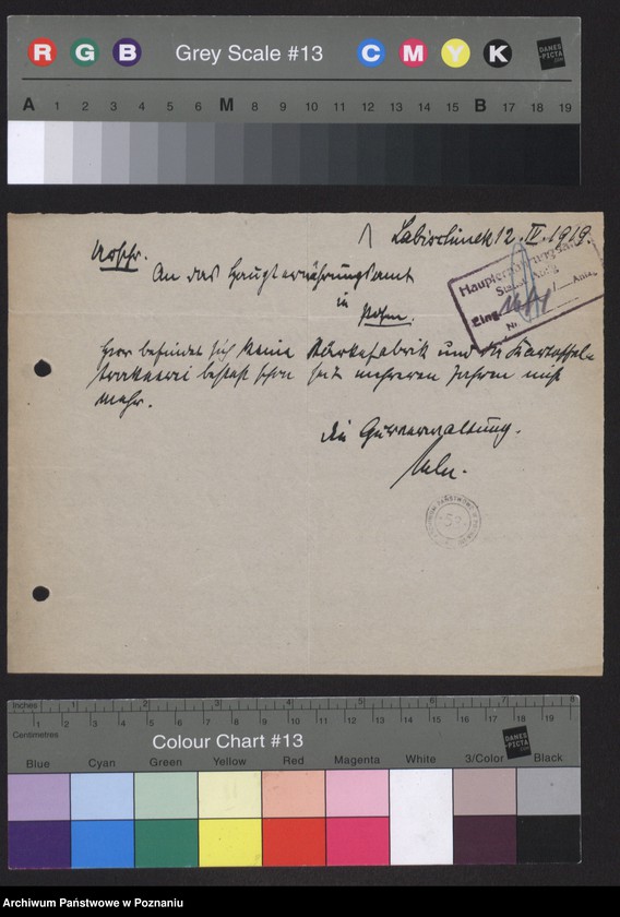 Obraz 3 z jednostki "[Kwestionariusze statystyczne dotyczące suszarni i krochmalni ziemniaków]"