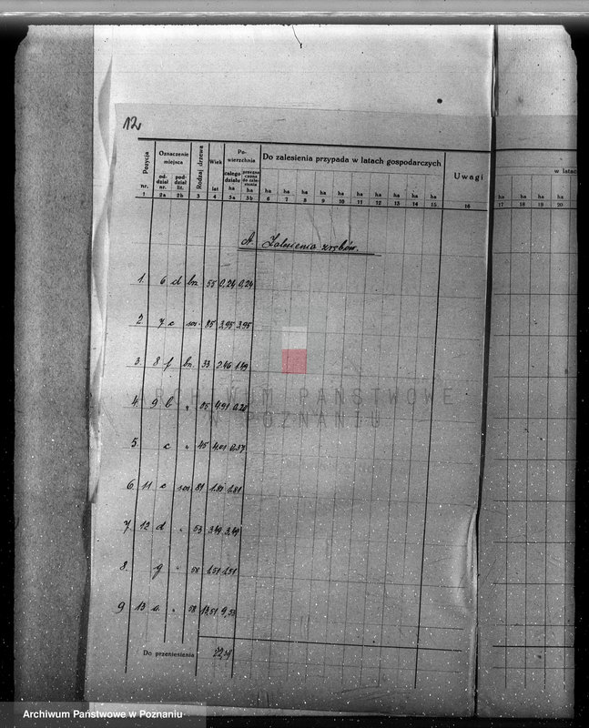 Obraz 18 z jednostki "Plan urządzenia gospodarstwa leśnego dla lasu majętności Lizie powiat nowotomyski"