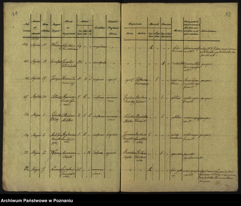 Obraz 9 z jednostki "Księga zgonów"