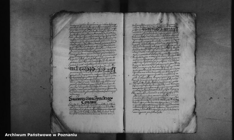 Obraz 9 z jednostki "Decreta officii [inducta]"