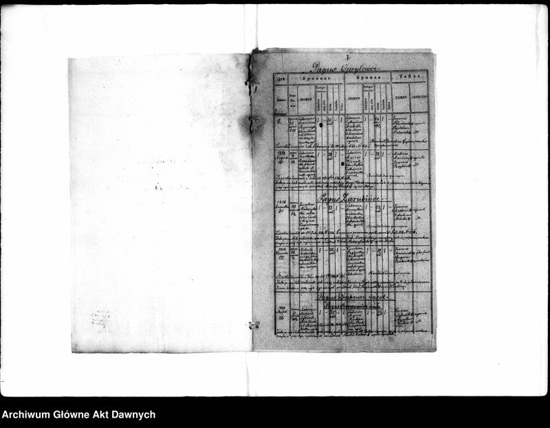 image.from.unit.number "Parafia: Opryłowce. Dekanat: Tarnopol. Ekstrakty z księgi metrykalnej urodzeń, ślubów i zgonów dla wsi: Opryłowce, Berezowica Mała*, Czumale, Dobrowody, Netreba, Nowiki, Zarubińce, Iwanczany*, Kobyla*, Kurniki*, Dubowce."