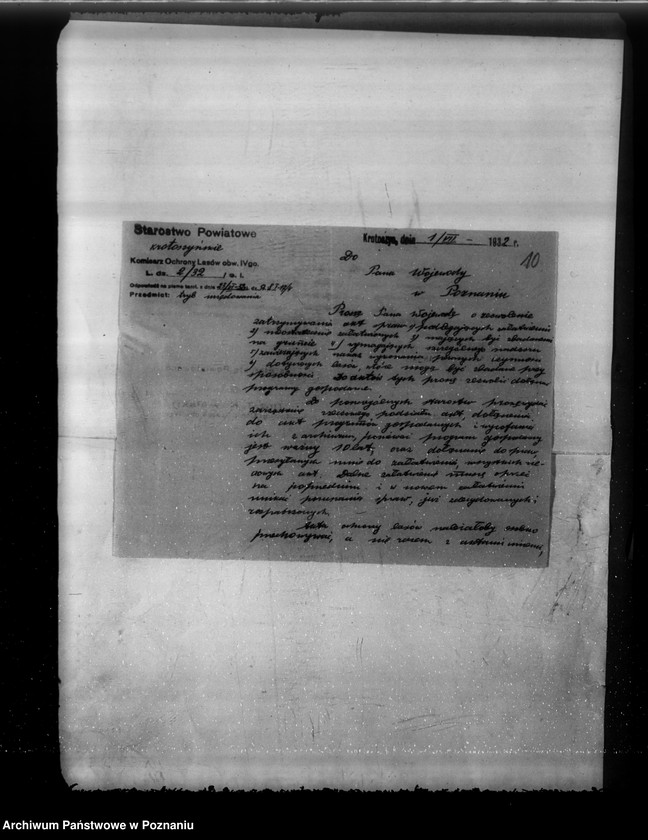 Obraz 14 z jednostki "Komisarze ochrony lasów"