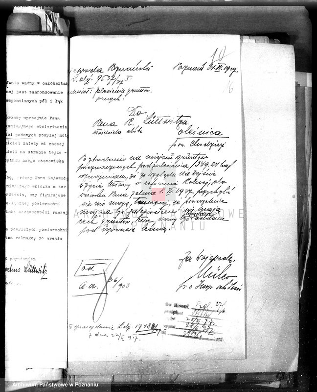 Obraz 20 z jednostki "Majętność leśna Oleśnica w powiecie chodzieskim"