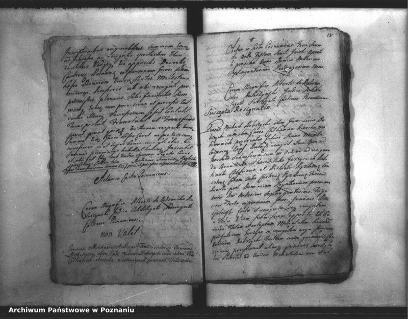 Obraz 20 z jednostki "Inscriptiones, resignationes [protocollon]"