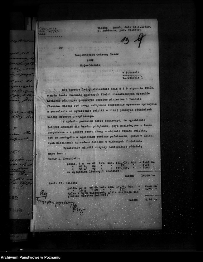 Obraz 17 z jednostki "Majętność leśna Wioska powiat wolsztyński"