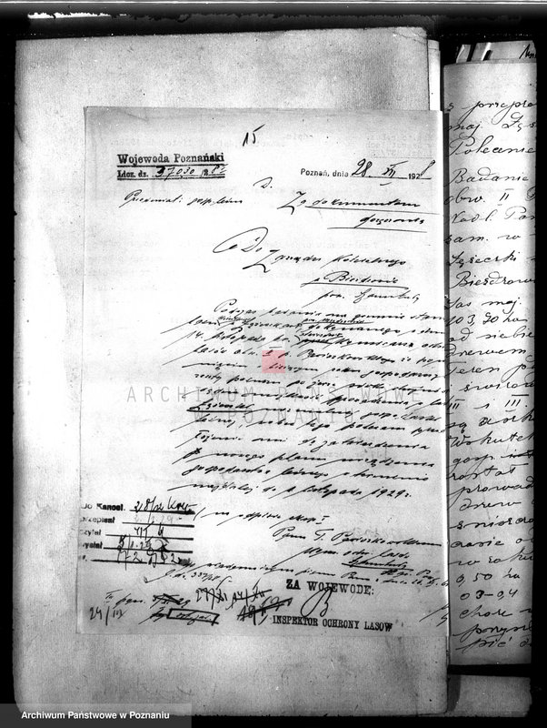 Obraz 19 z jednostki "Kościół katolicki Biezdrowo Łężeczki powiat międzychodzki /nadzór nad gospodarką leśną/"