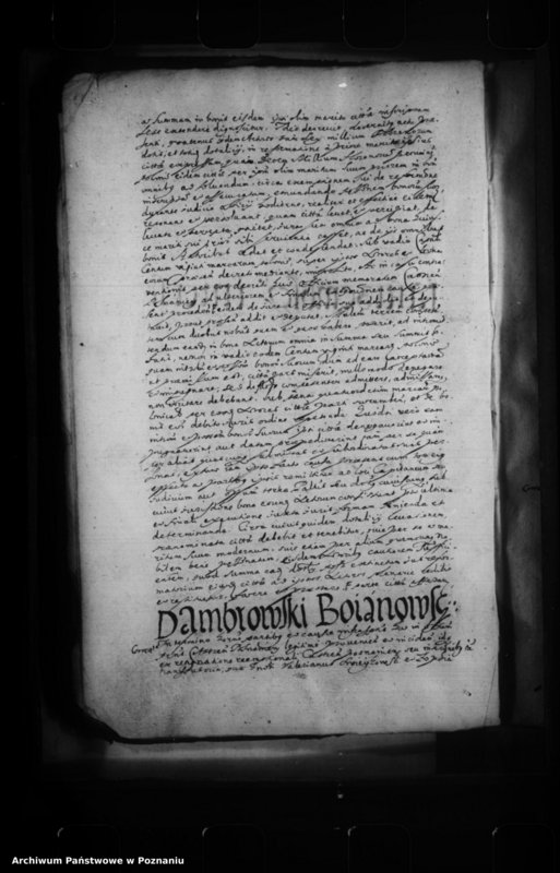 Obraz 8 z jednostki "Inscriptiones [inducta]"