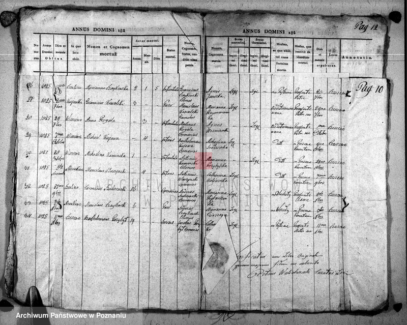 image.from.unit.number "Duplikat baptisatorum, copulatorum u. mortuorum"