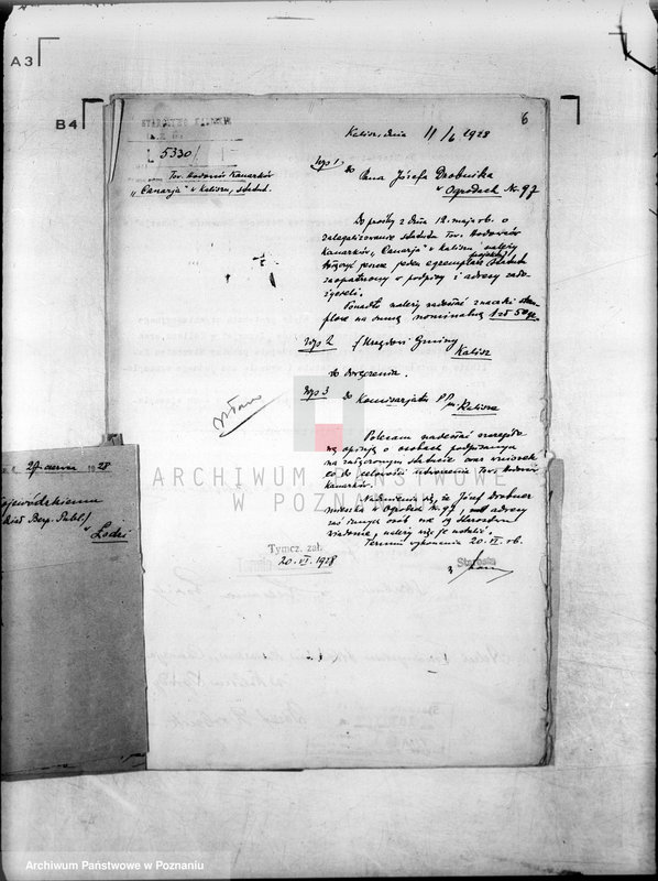 Obraz 11 z jednostki "/Towarzystwo Hodowców Kanarków,,Canaria" w Kaliszu/"