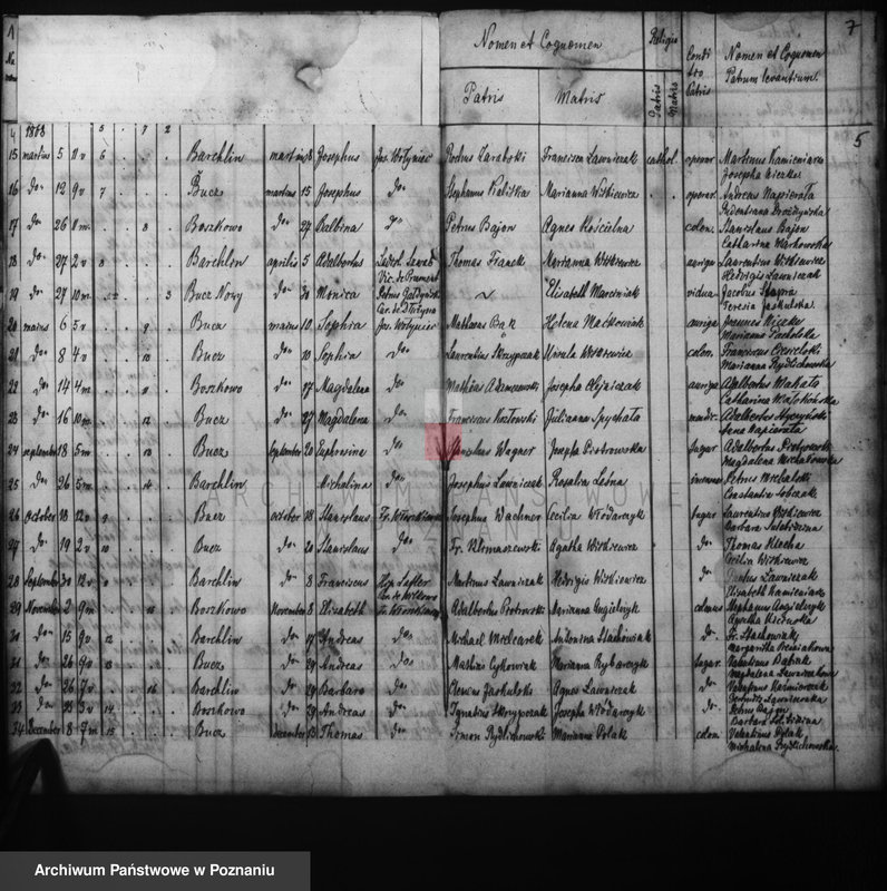 Obraz 5 z jednostki "Duplicati baptisatorum, copulatorum, mortuorum"