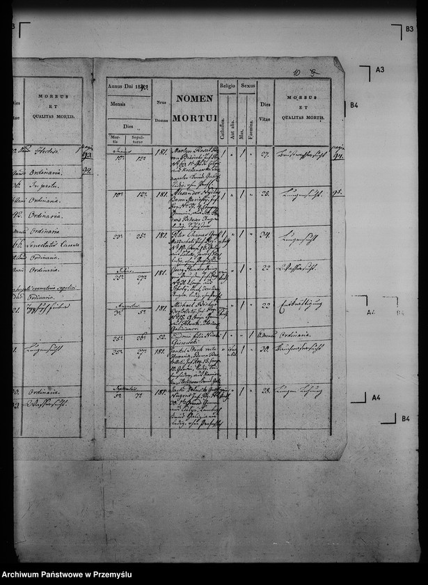 Obraz 14 z jednostki "[Kopie ksiąg metrykalnych parafii Jazów Nowy z filią Cetula (dekanat Jaworów)]"